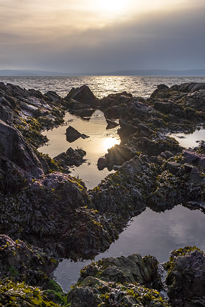 galway-2